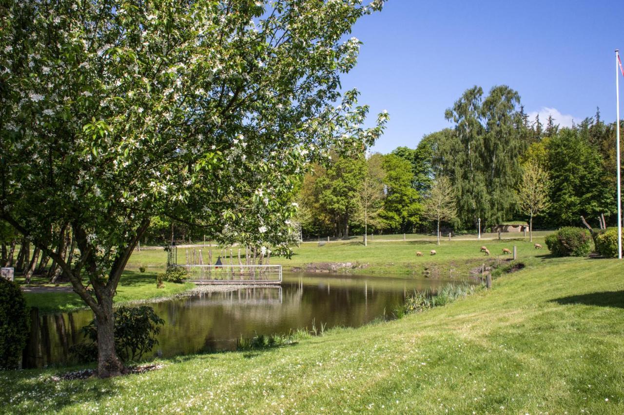 Fjelsted Skov Hotel & Konference Ejby  Zewnętrze zdjęcie